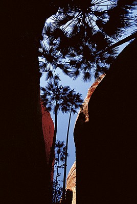 Tourism Australia (04)